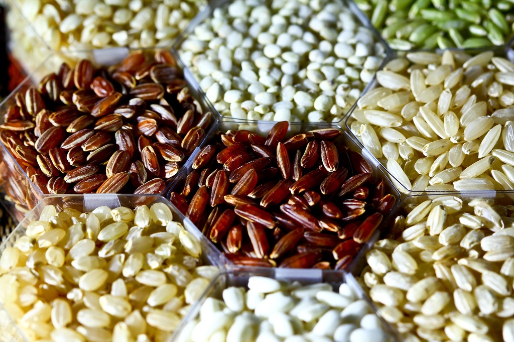 Arroz — presentación familiar